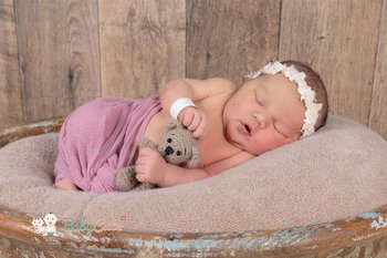 Elody