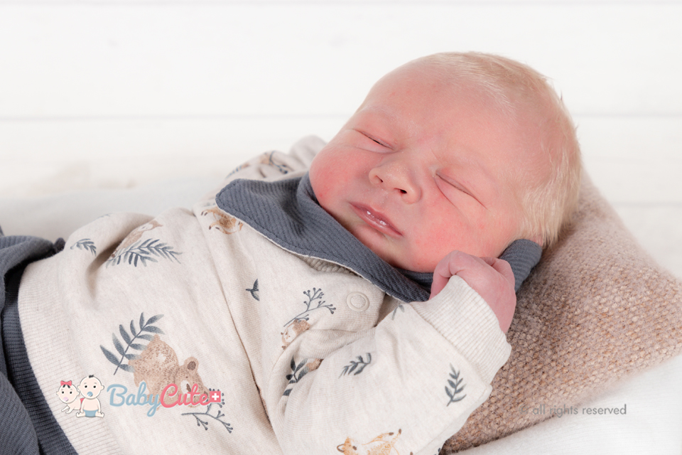 Merlin Michael