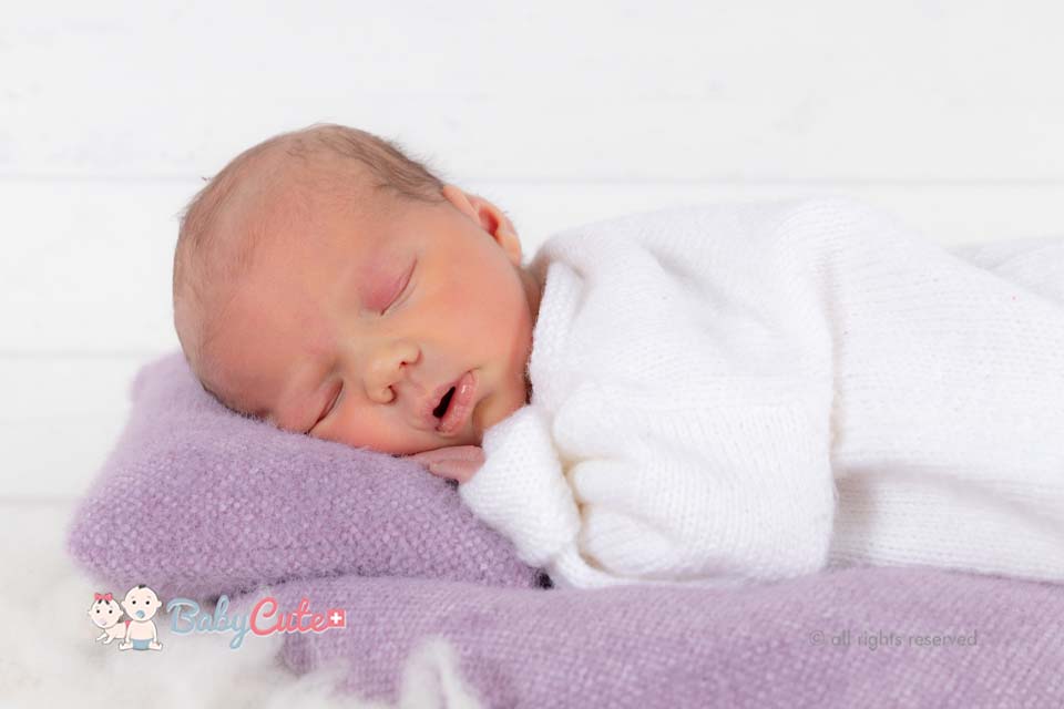 Elodie