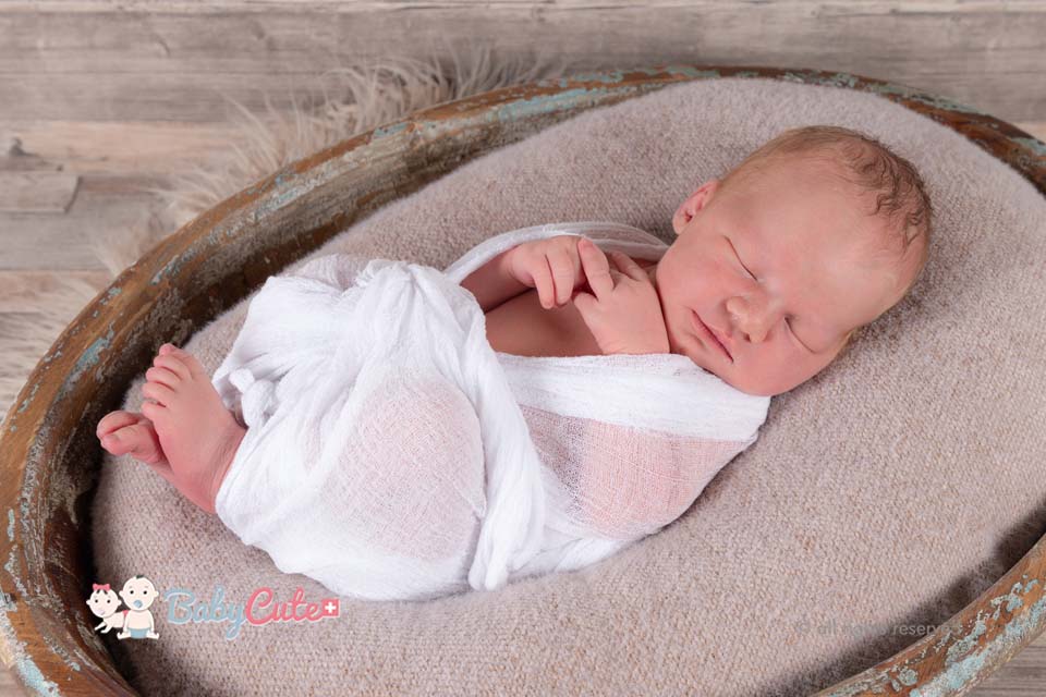 Levi Aaron