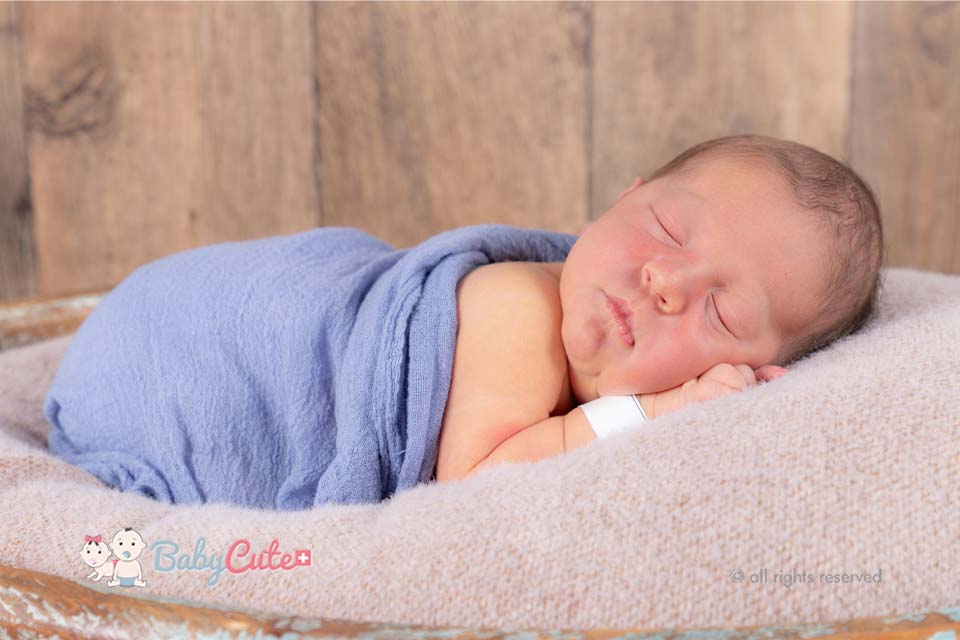 Lennox Rey Orlando