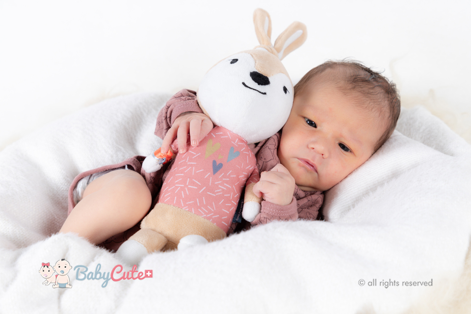 Melody
