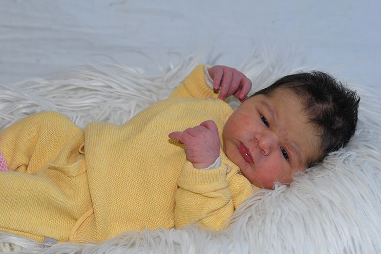Alena