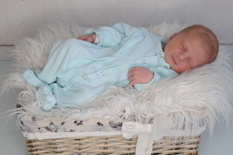 Alexander David