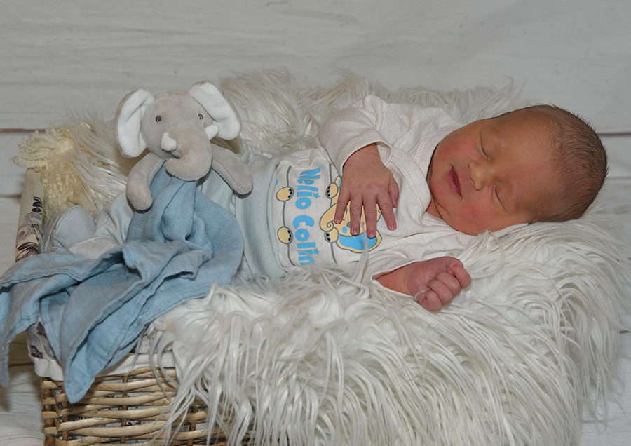 Nelio Colin