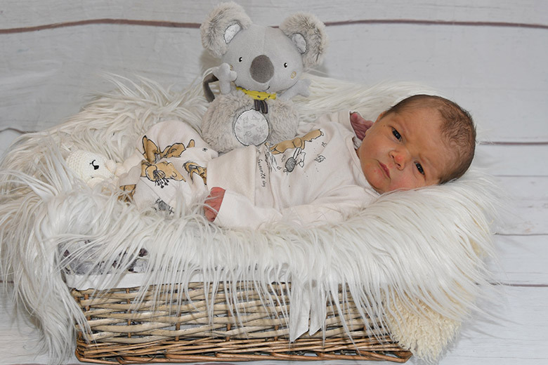 Gian Elia