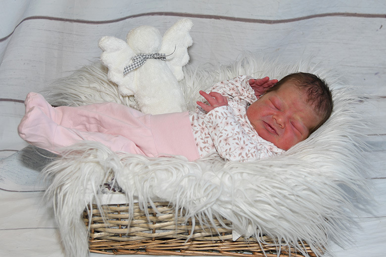 Aurelia